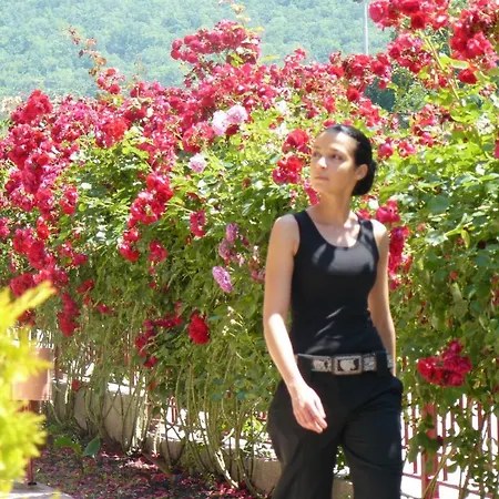 Privillege Noks アパート エレニテ