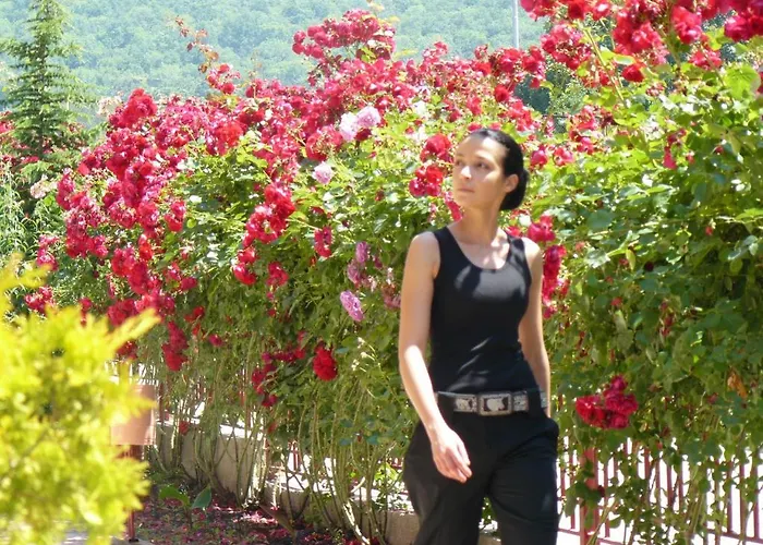 Privillege Noks Διαμέρισμα Elenite